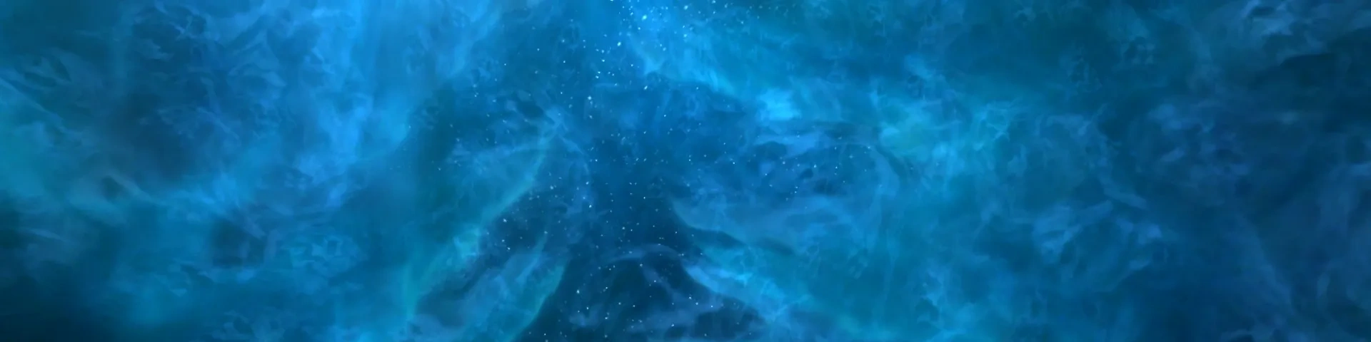 fireflyyfly