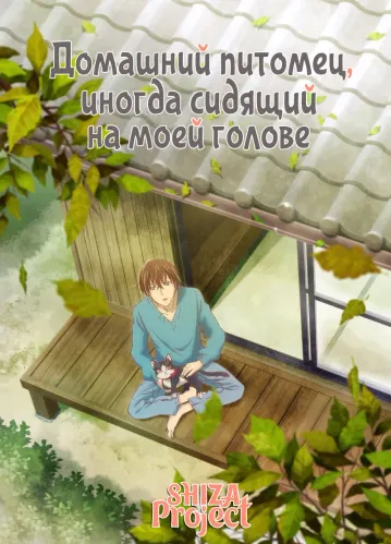 Домашний питомец, иногда сидящий на моей голове